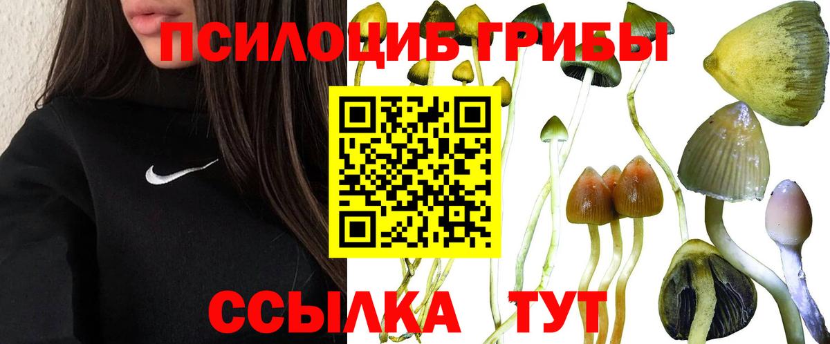 Псилоцибиновые грибы Magic Shrooms Нурлат